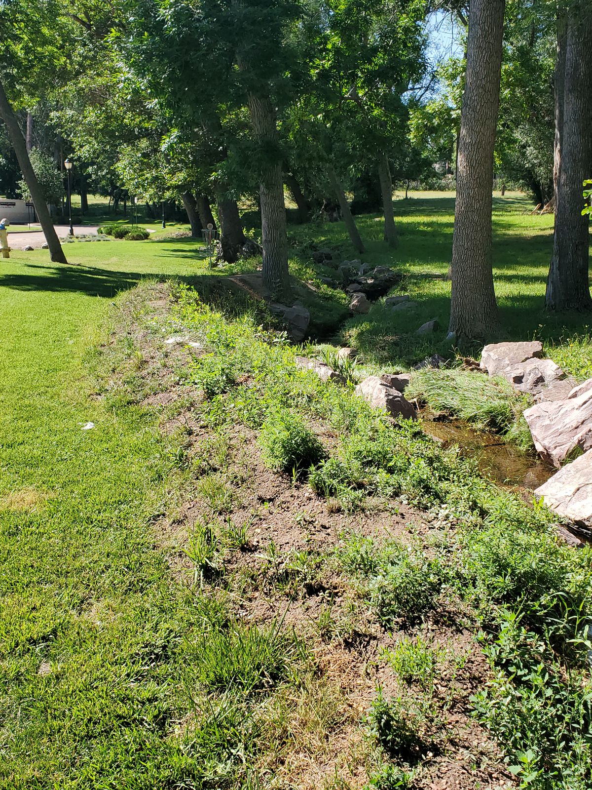 Hole 5 Fairway