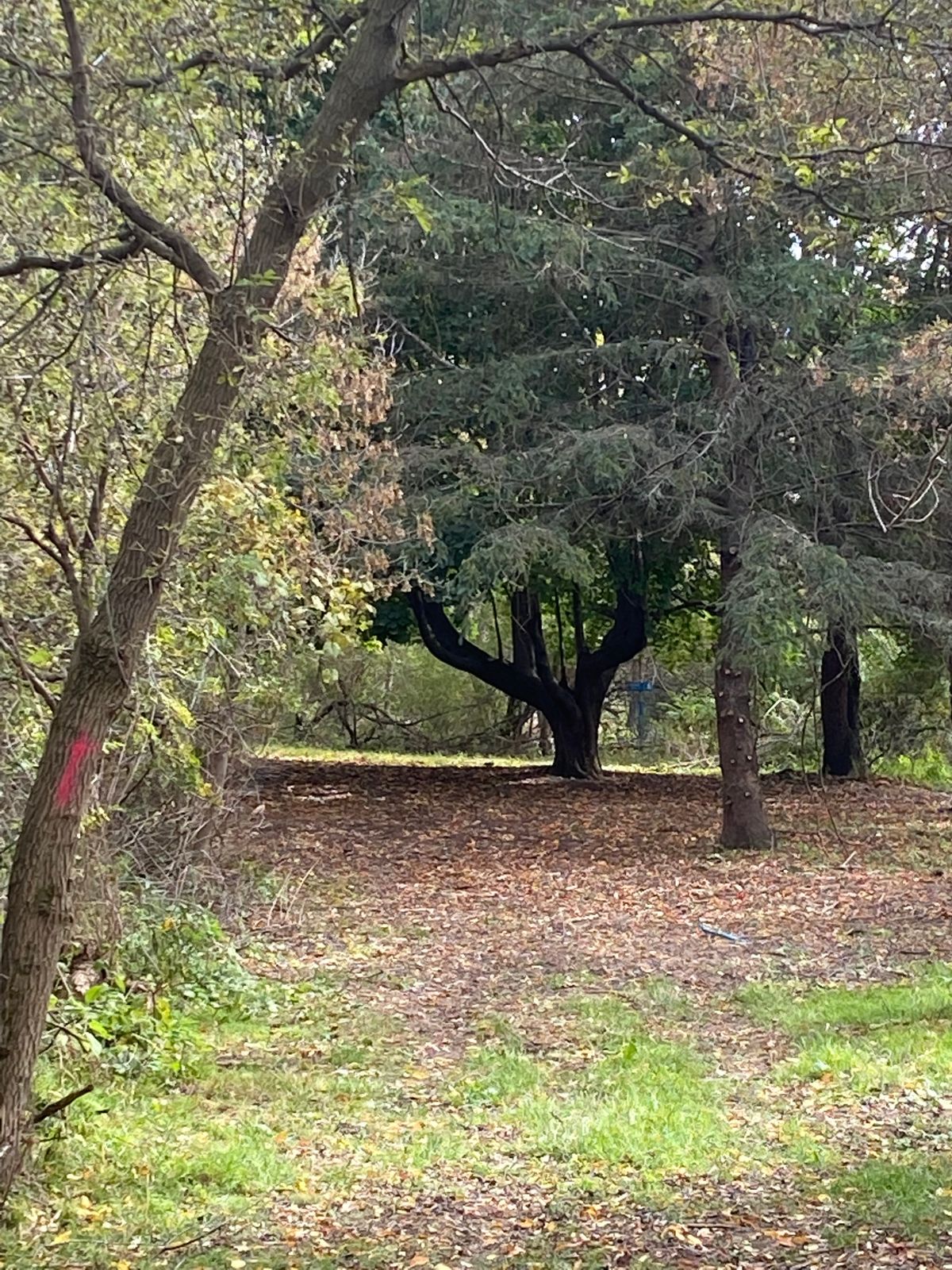 Hole 6 tee shot (zoomed in)