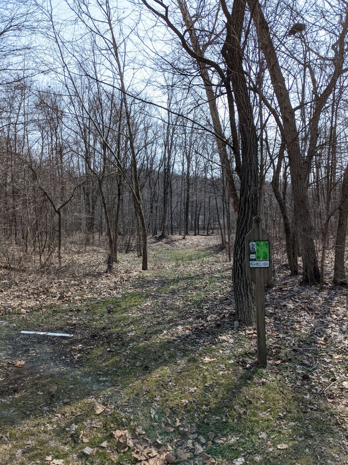 Hole 5