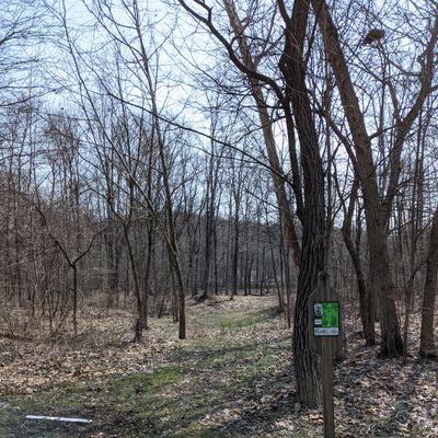 Hole 5