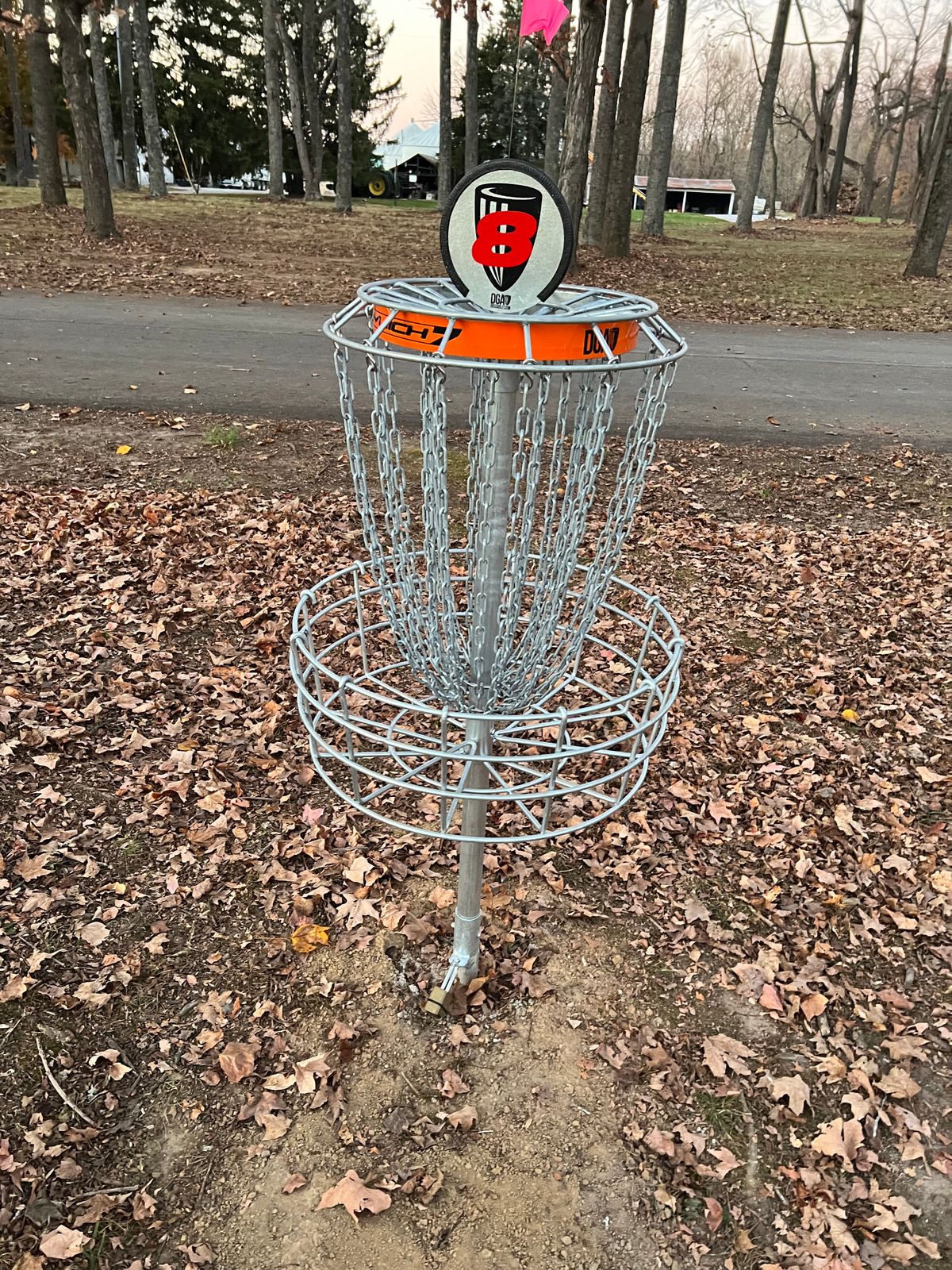 Hole #8 Basket