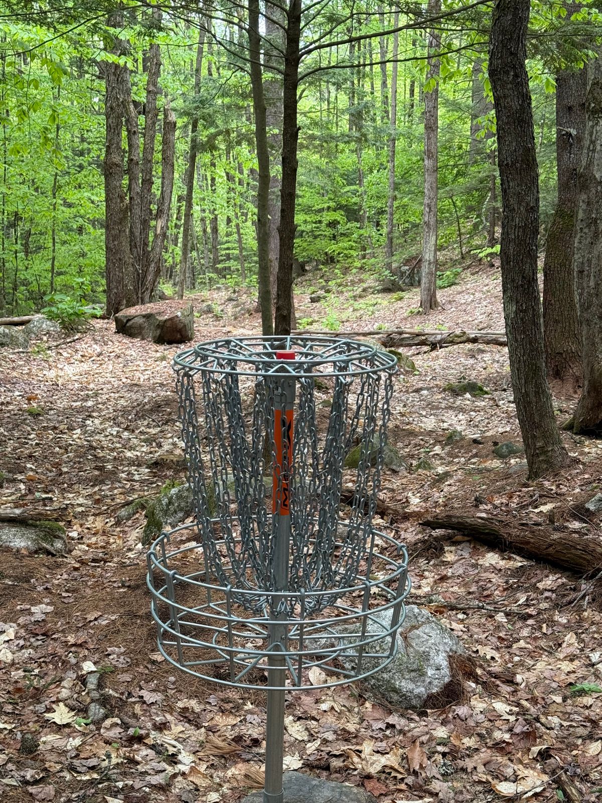 Hole 6