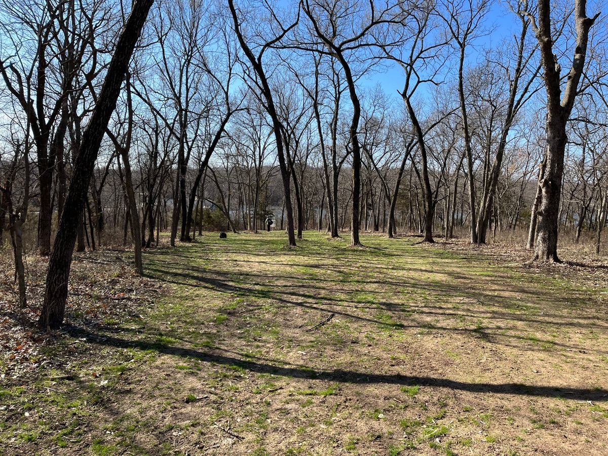 Hole 15 fairway