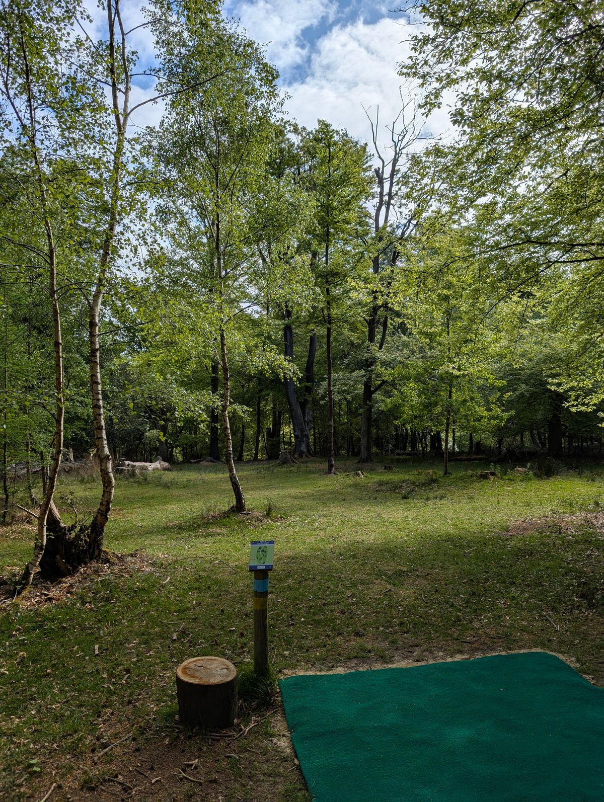 Hole 2 teepad blue/yellow