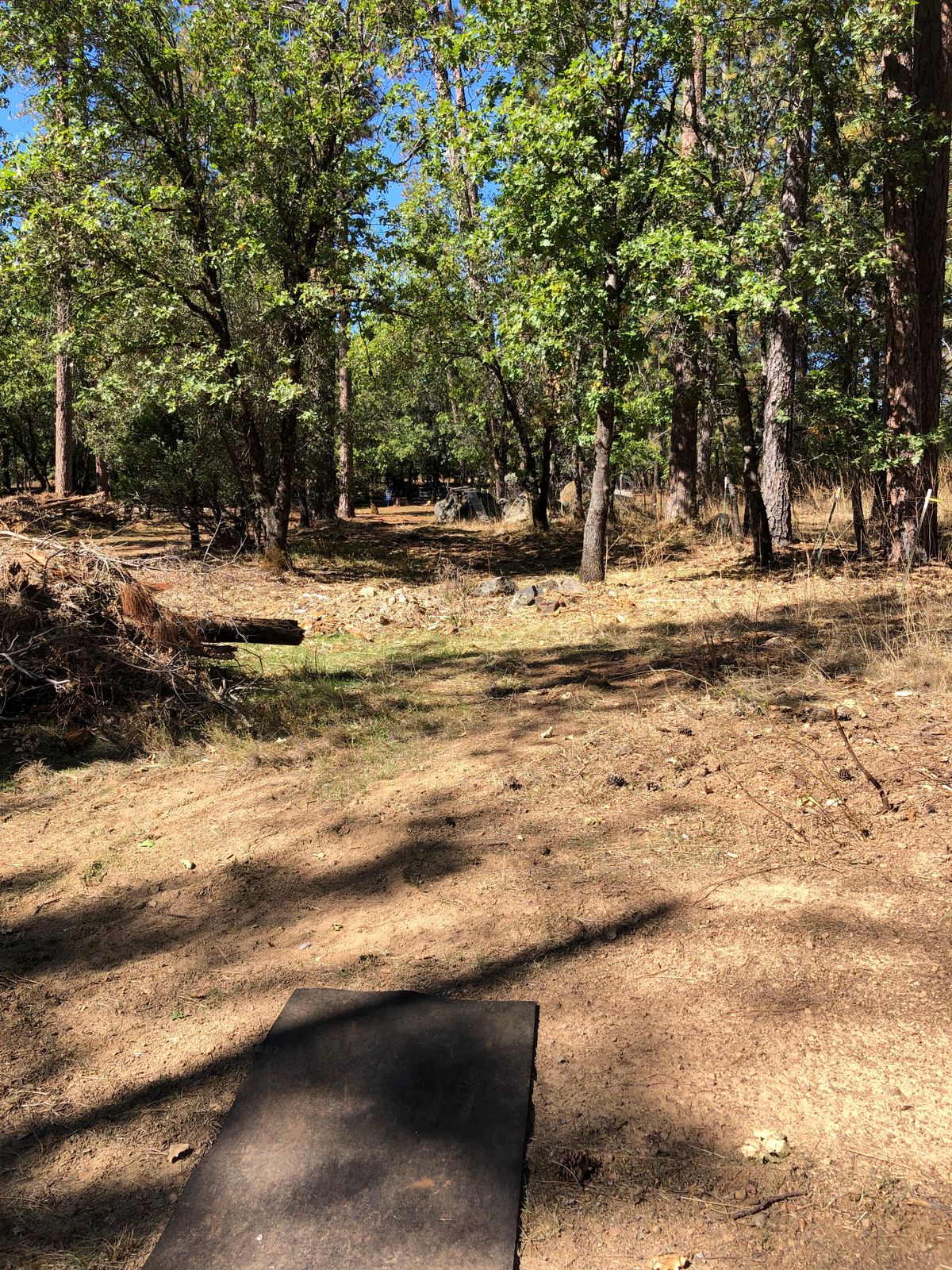 Tee 10