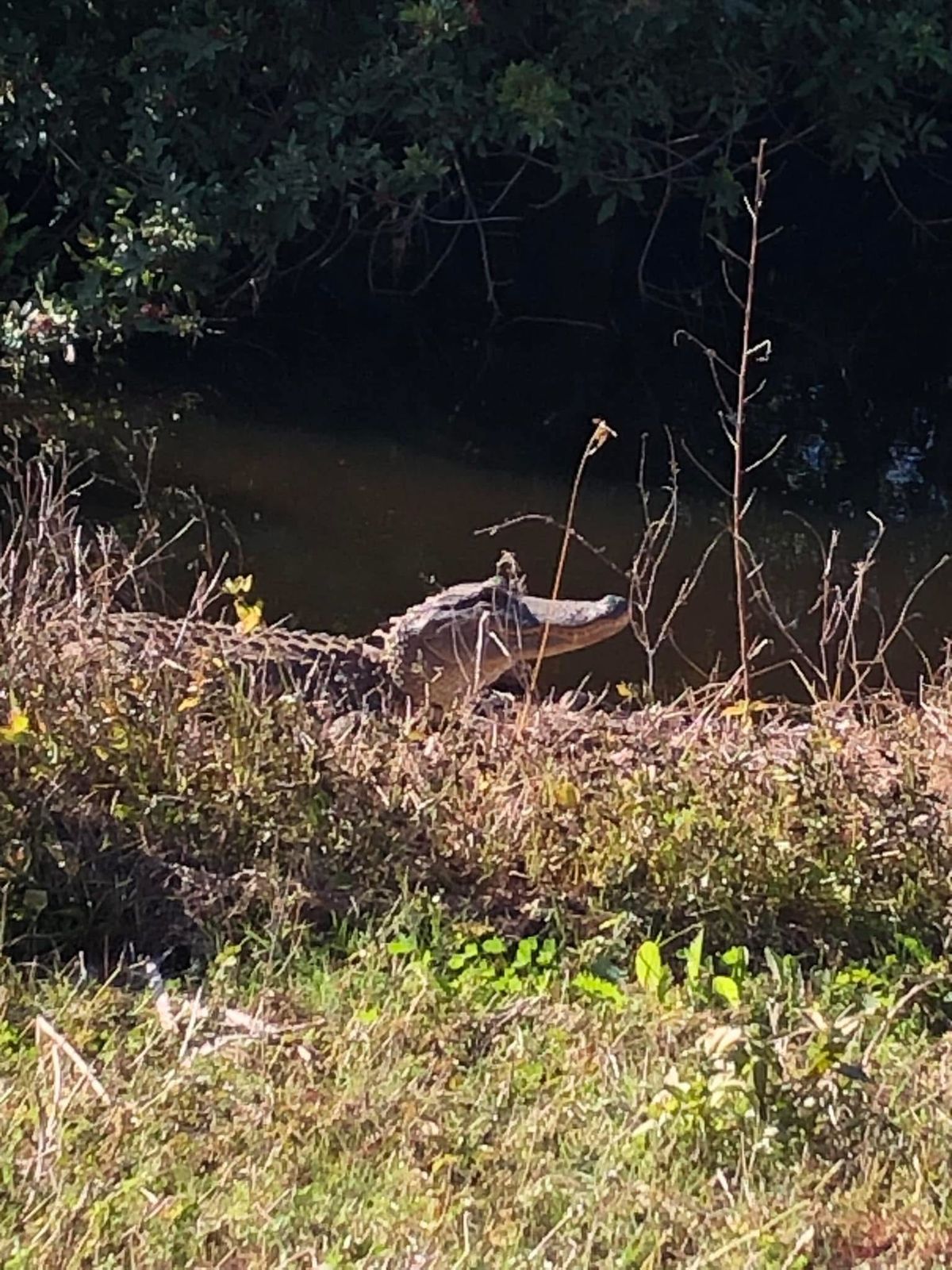 Beware of water hazards