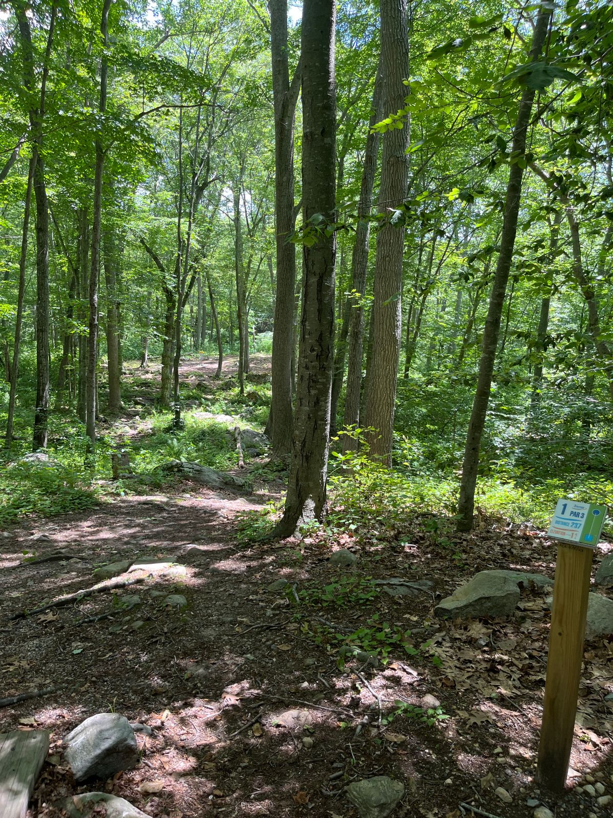 Hole 1