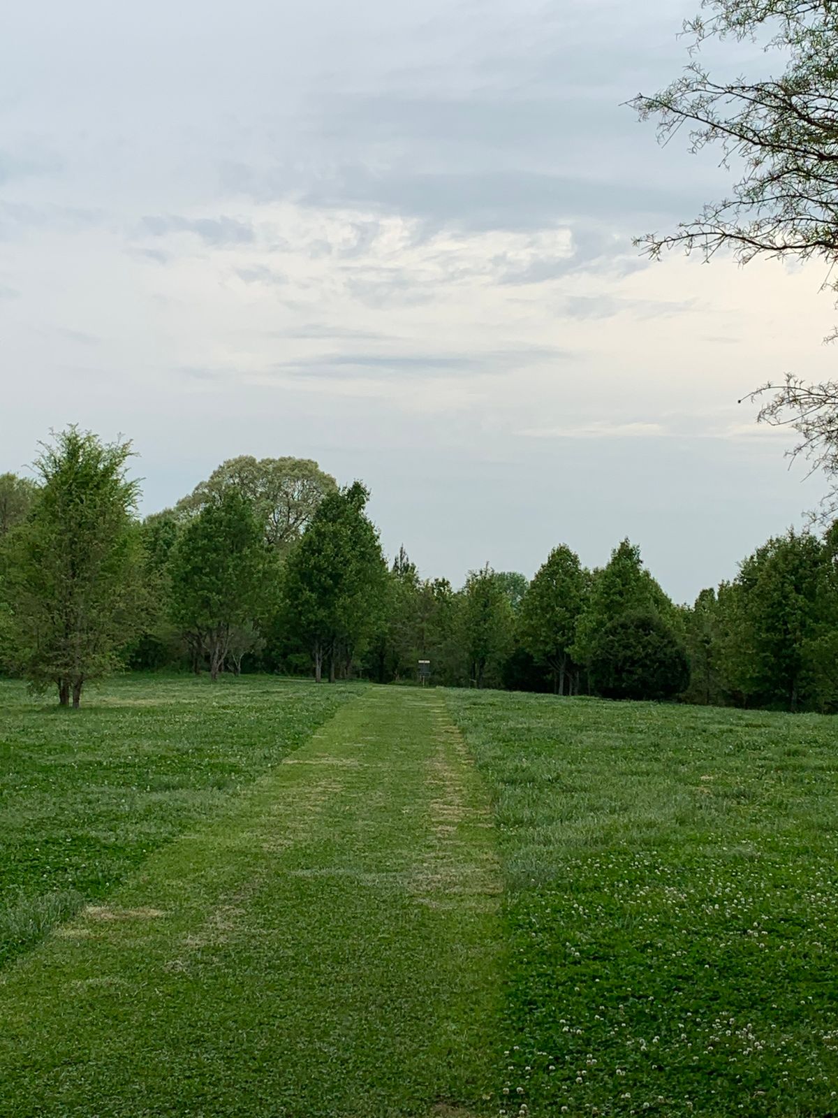 Hole 3