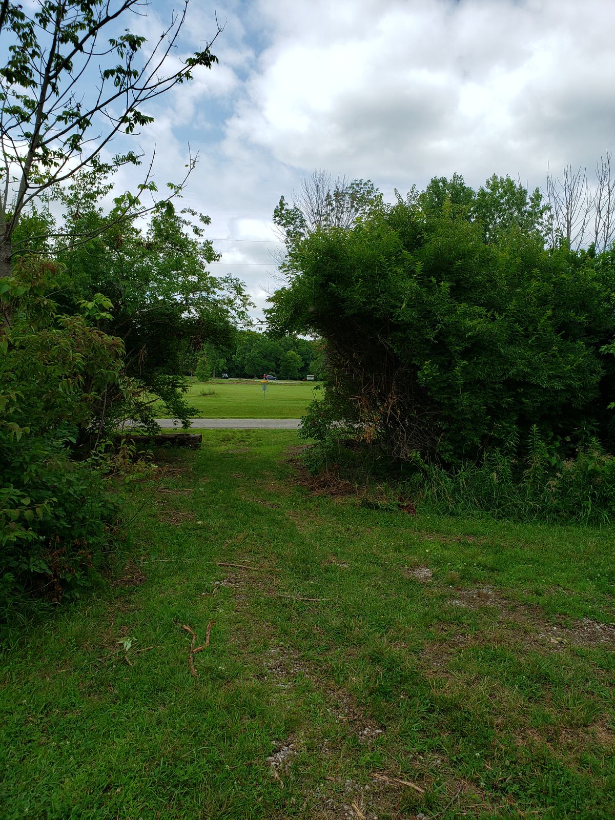 Looking from #6 Tee-Pad down path to #5 Basket.
