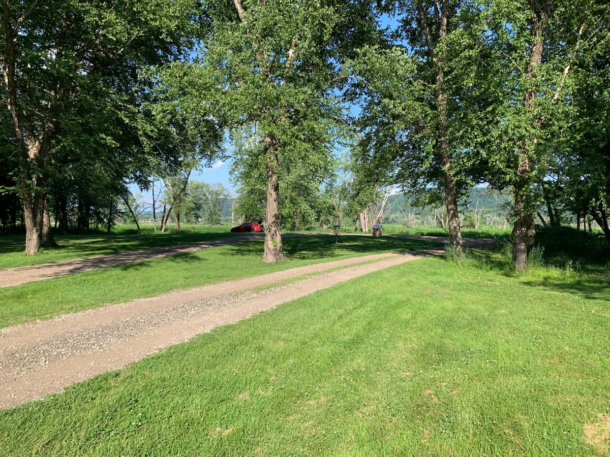 Island green