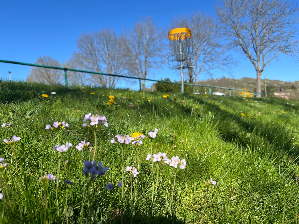 Bahn 5 - Frühling