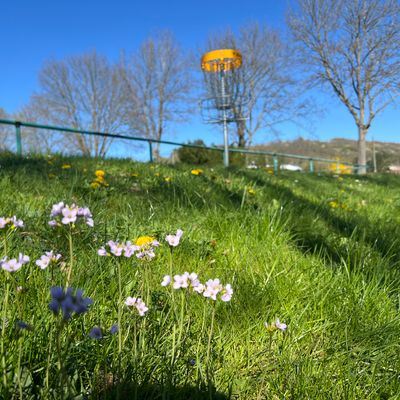 Bahn 5 - Frühling