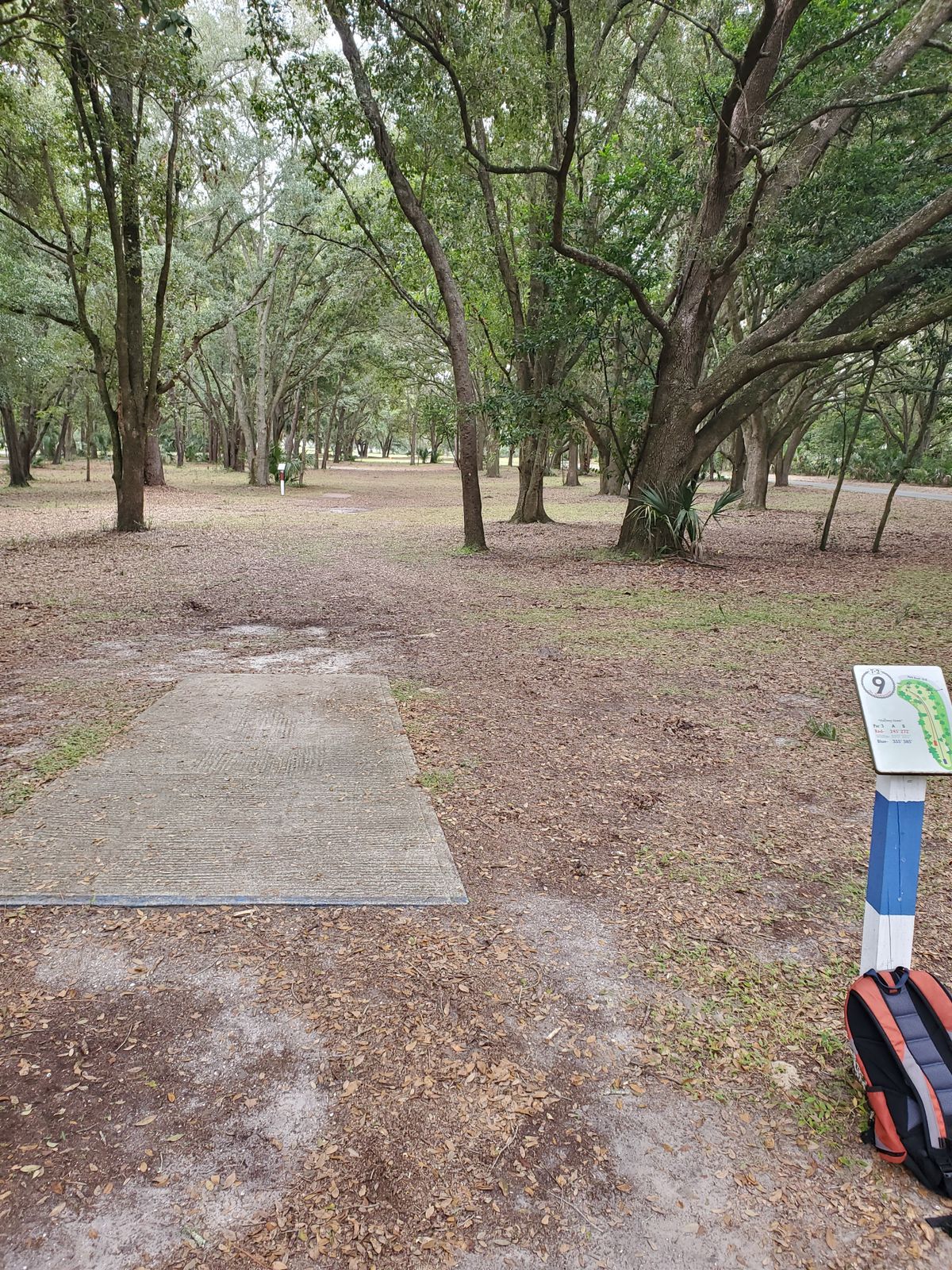 Hole 9 Blue Tee