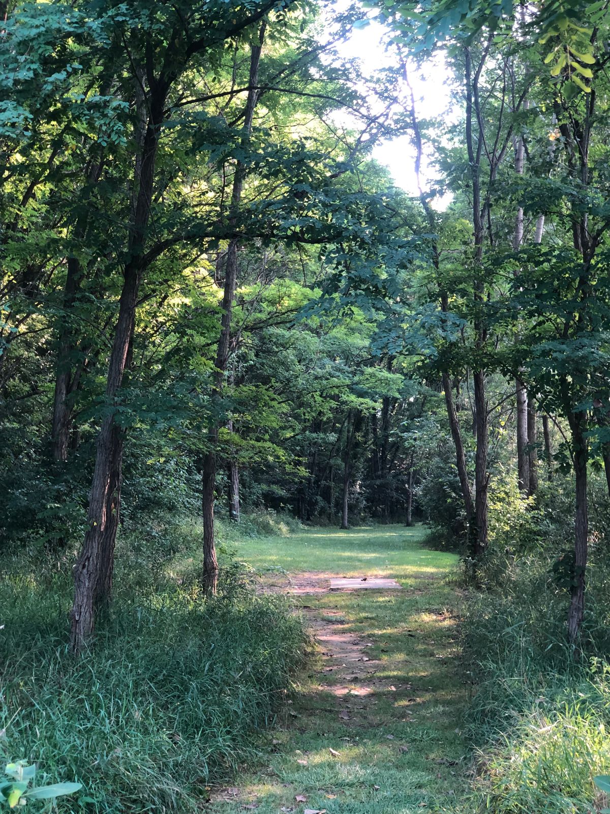 The beautiful walk to hole 3