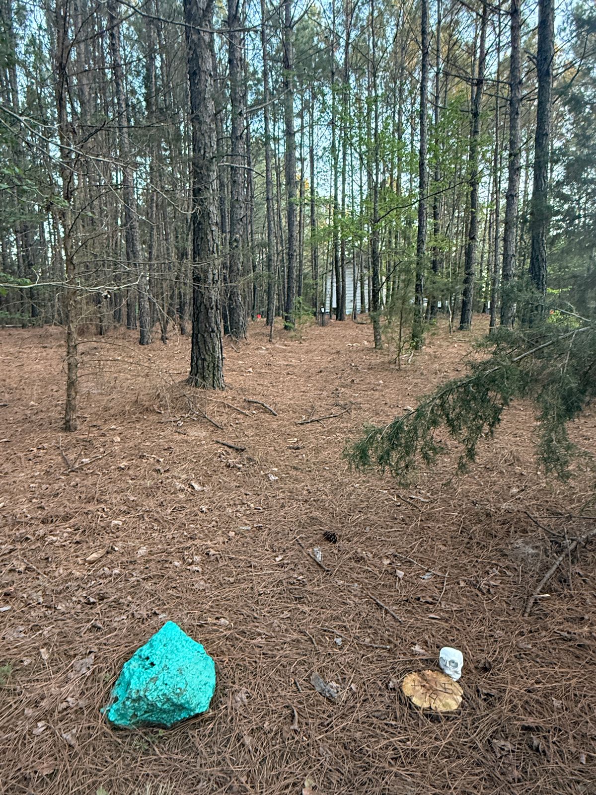Hole 19 - Blue
Roller Only off the Tee