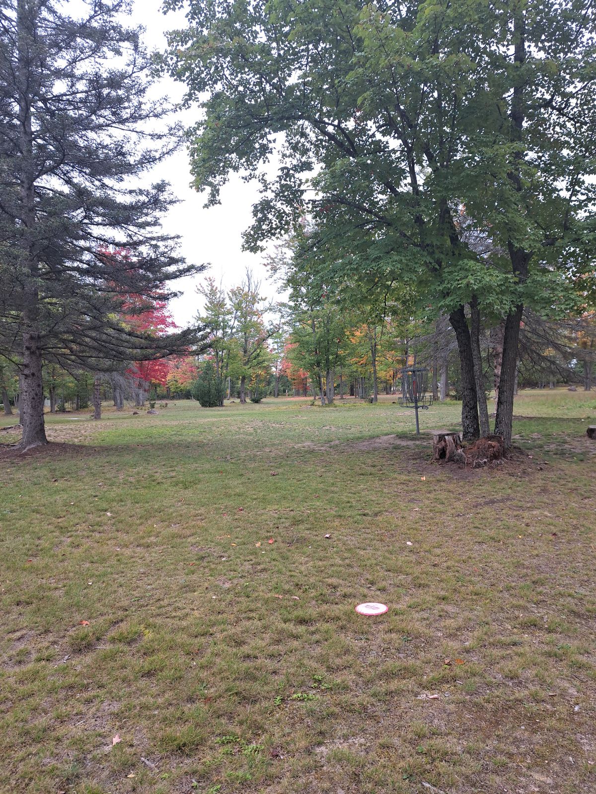 Hole 9 basket A