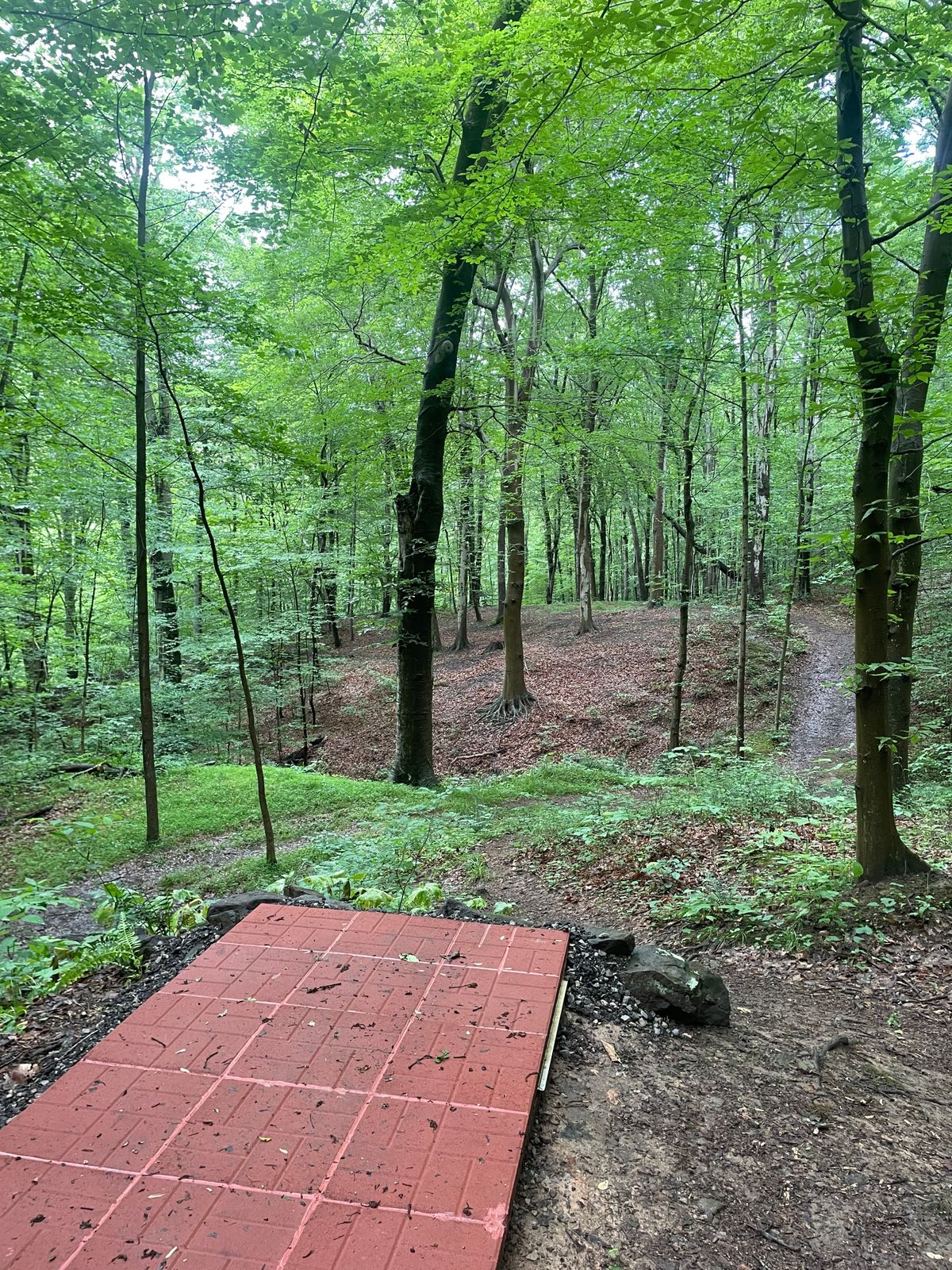 Hole 4. Short pin can be seen to the left.