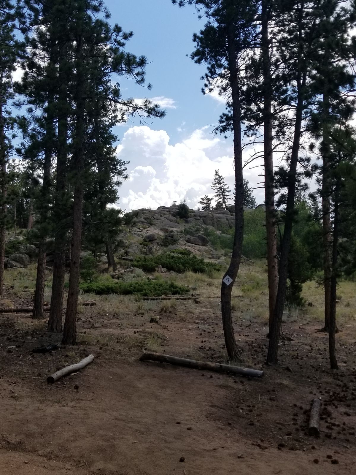 Hole 7, what a stellar view.