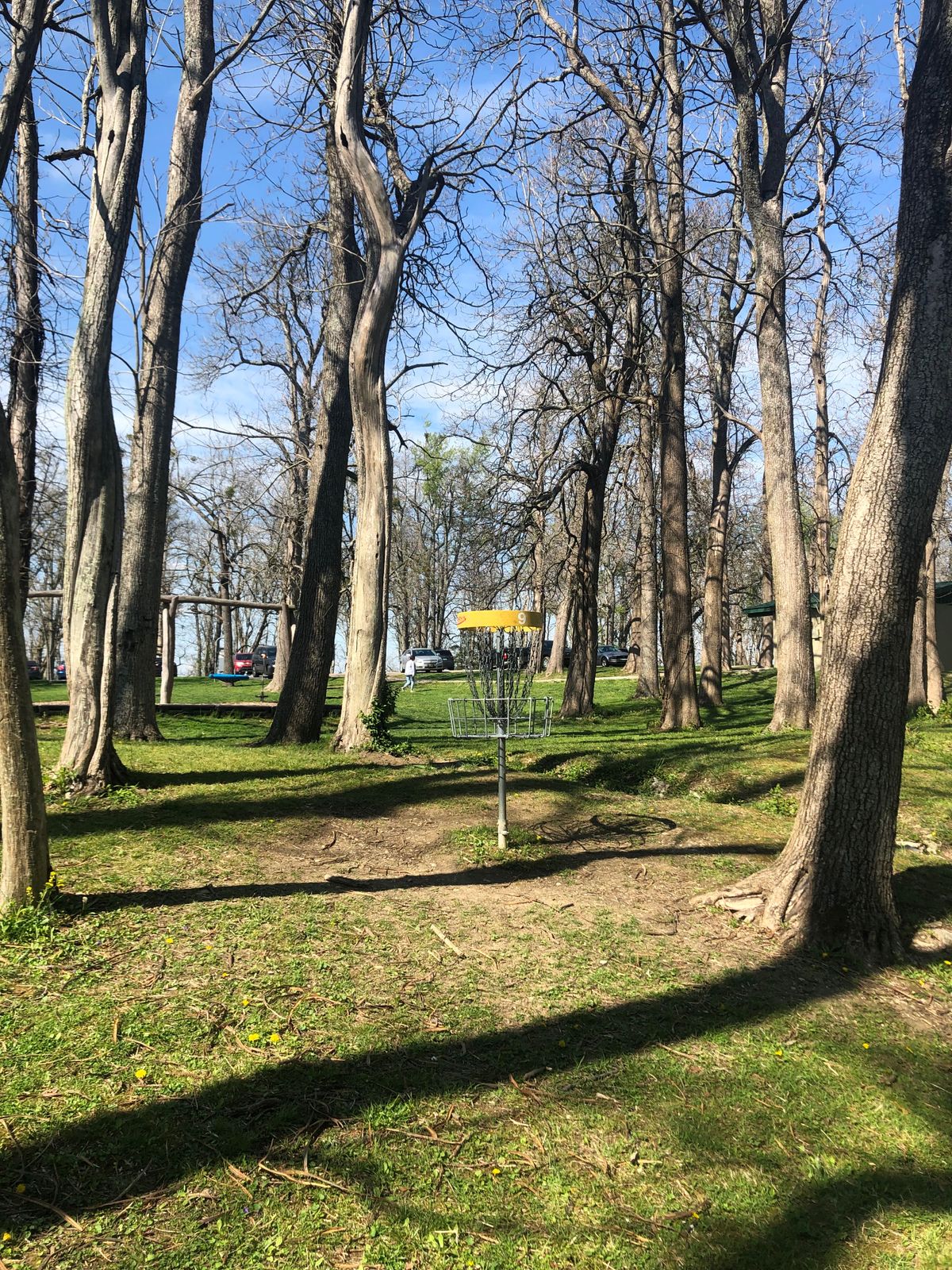 Hole 9 pin