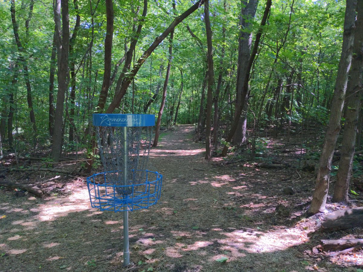 Hole 12 looking back up the fairway