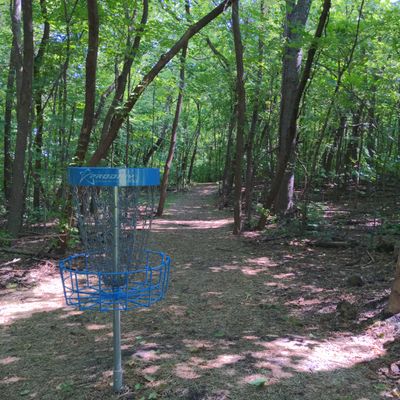 Hole 12 looking back up the fairway