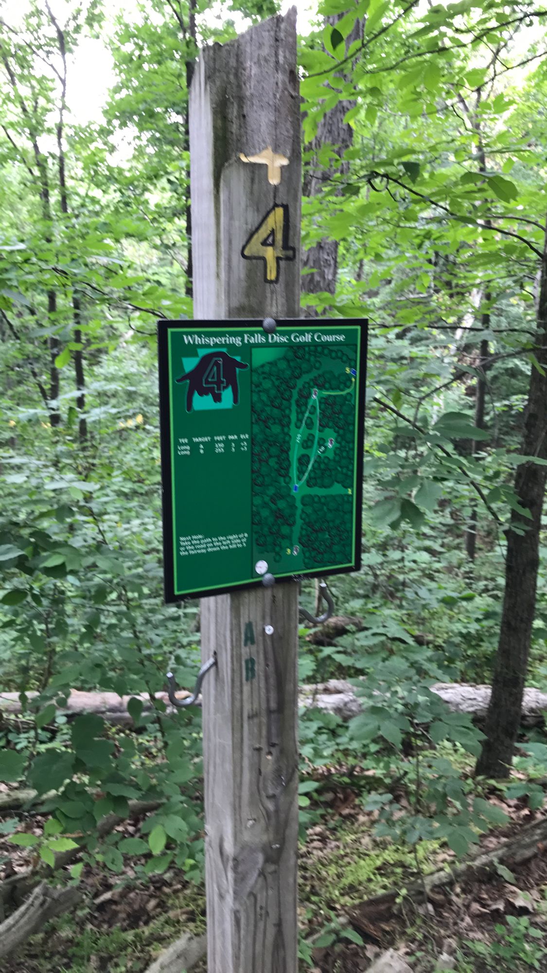 Hole 4