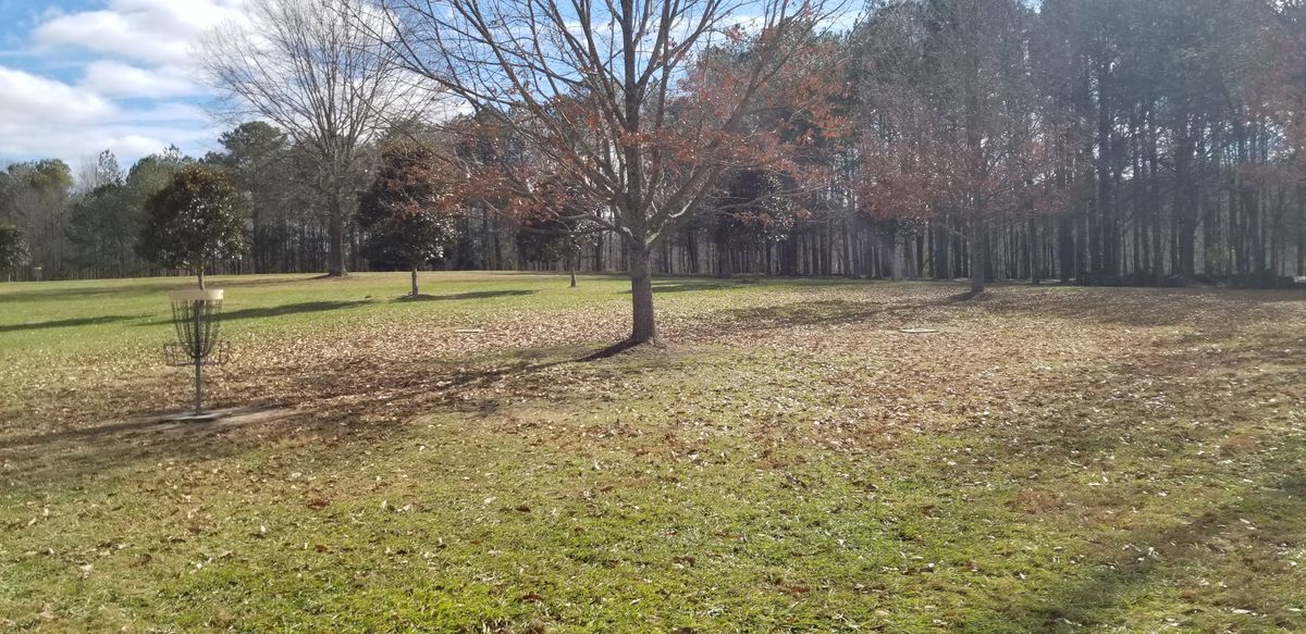 Hole 4 Green (B Pin Location)