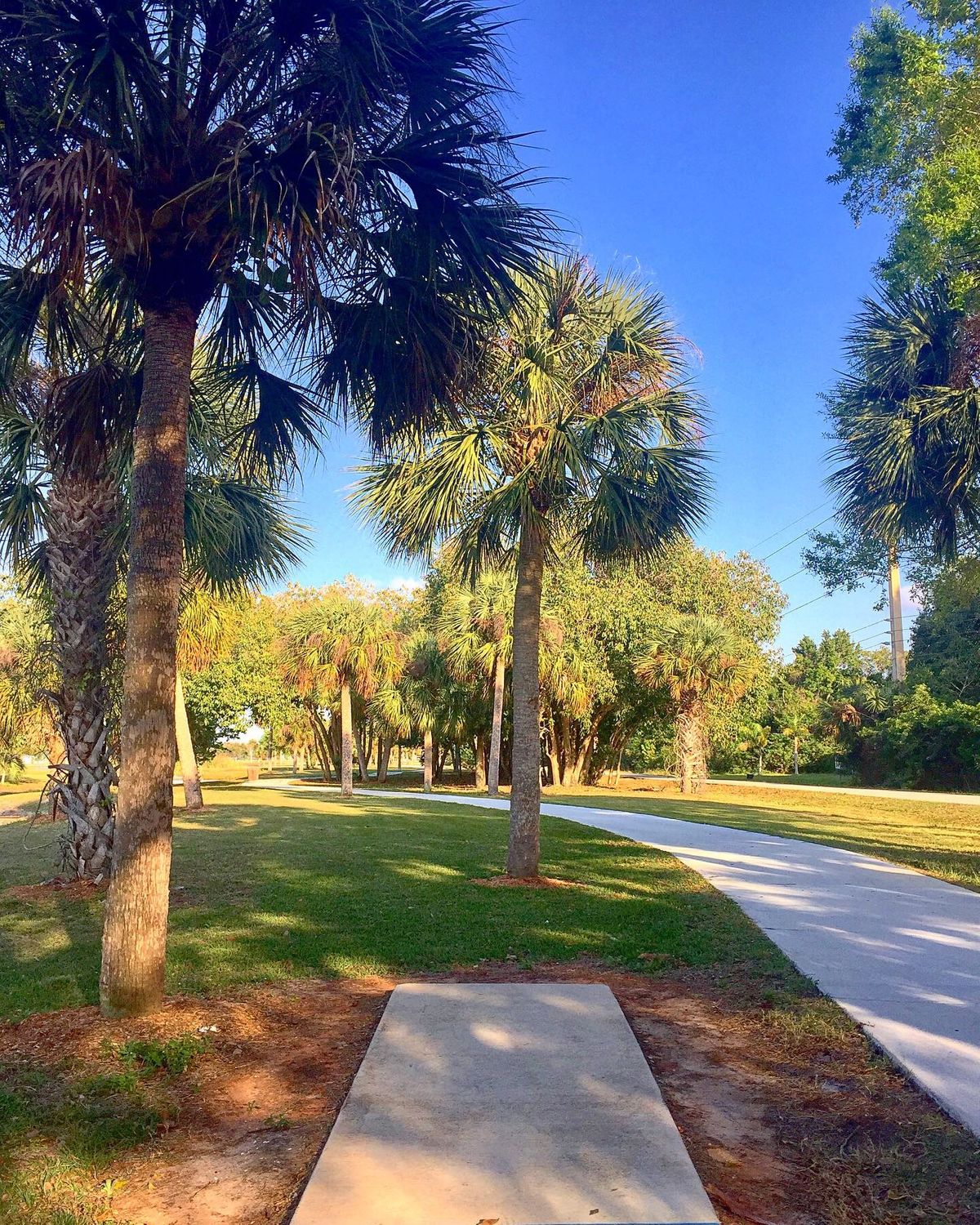 Hole 7B (White/Red Tee)