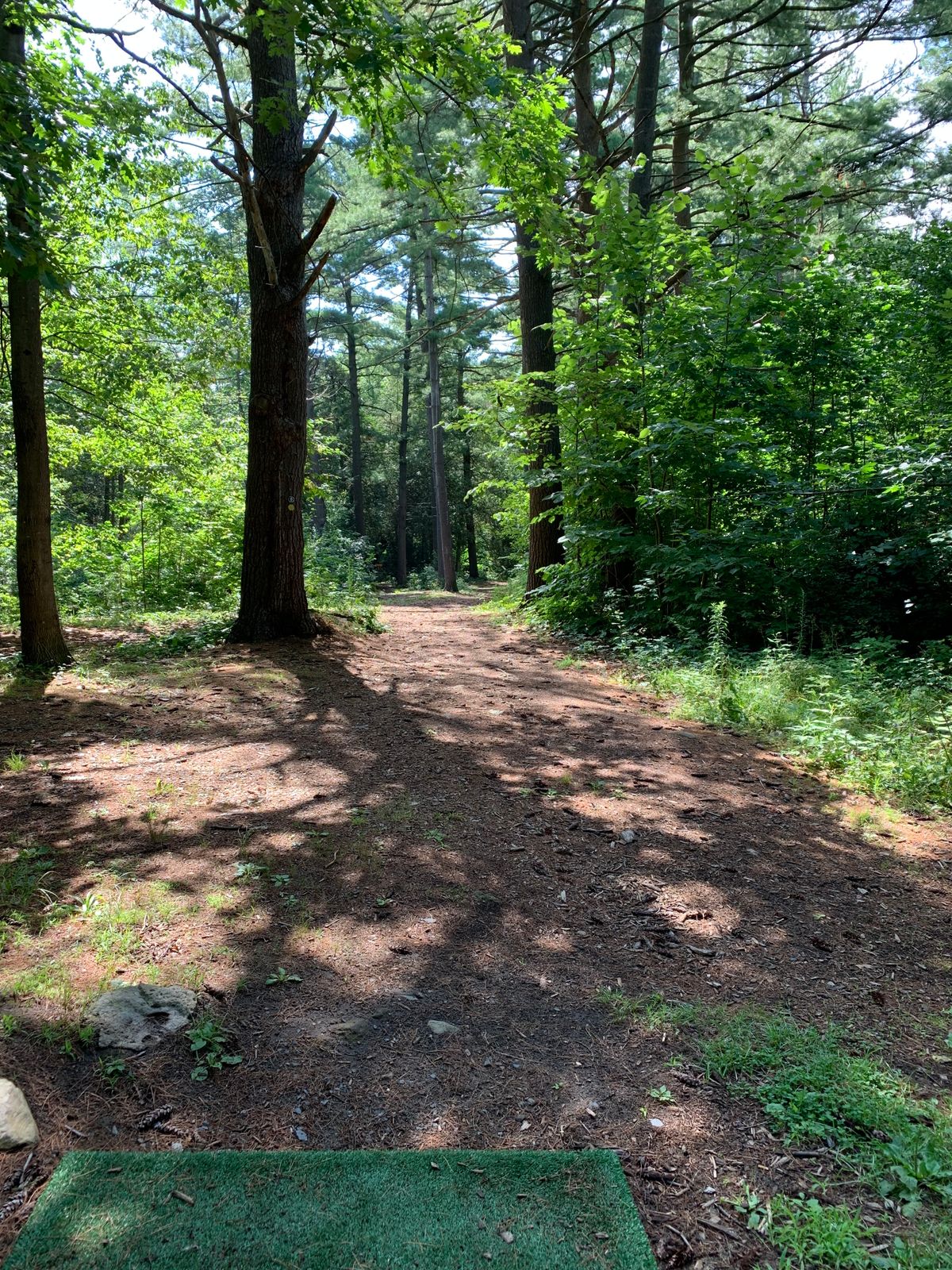 Hole 7
