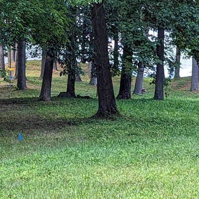 Hole 1's left turn