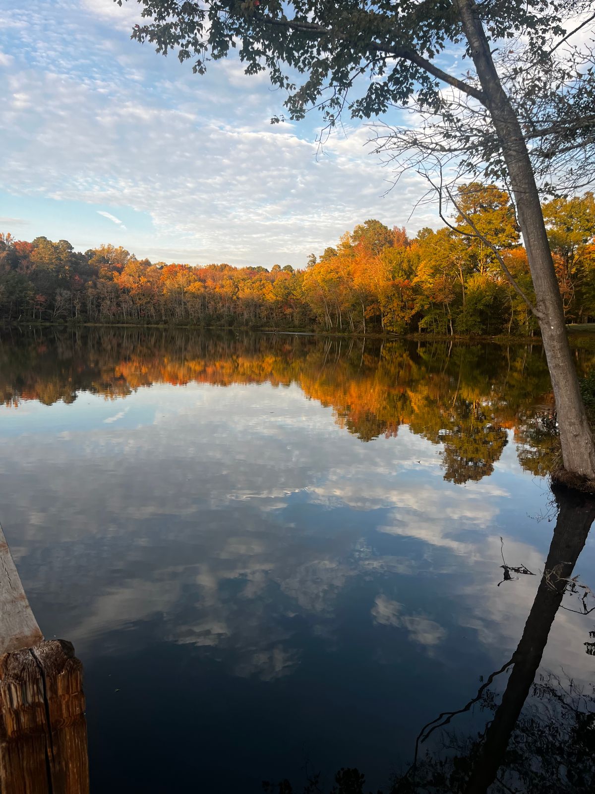 View of the lake in between hole 14 and 15