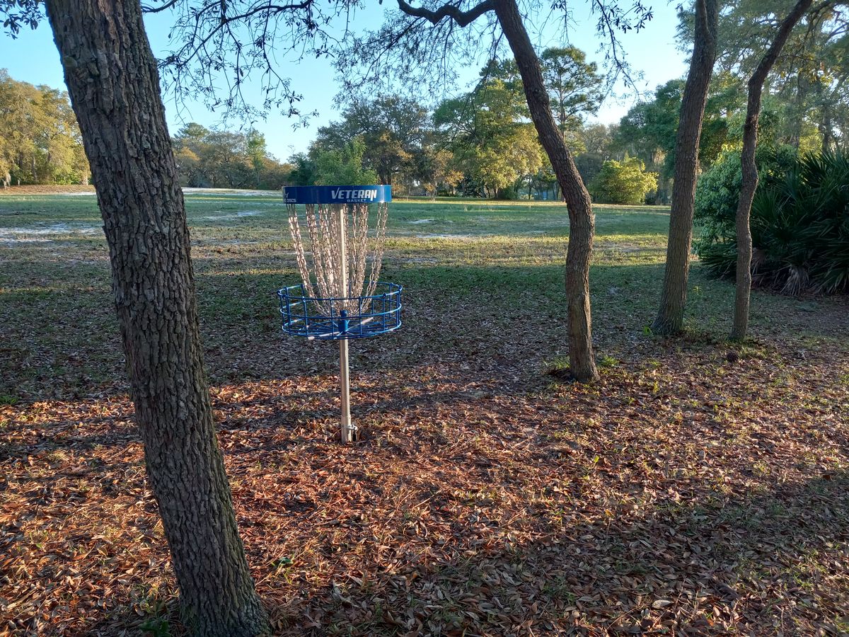 Basket 2 first rays of sun.