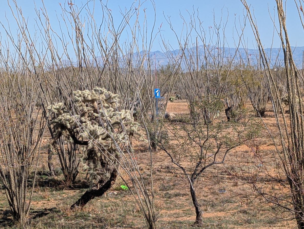 Really fun course! Great scenery. We'll be back!