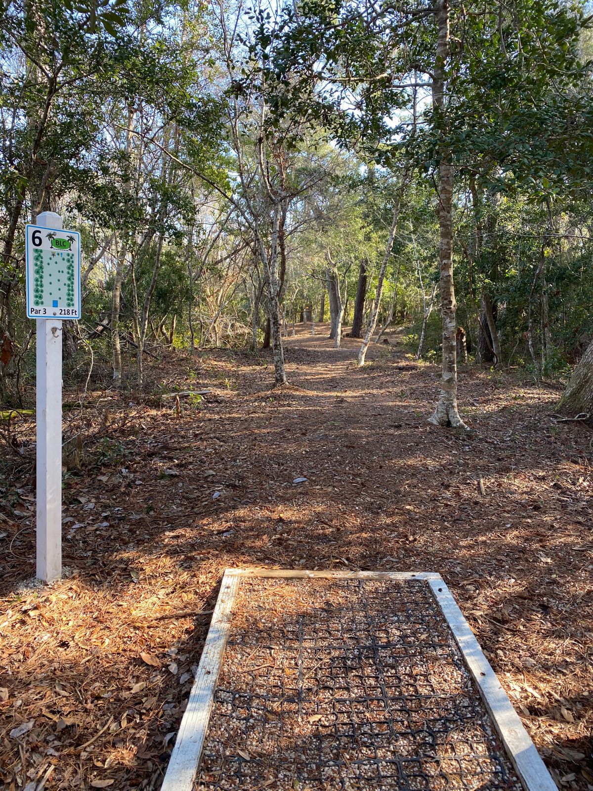 hole 6