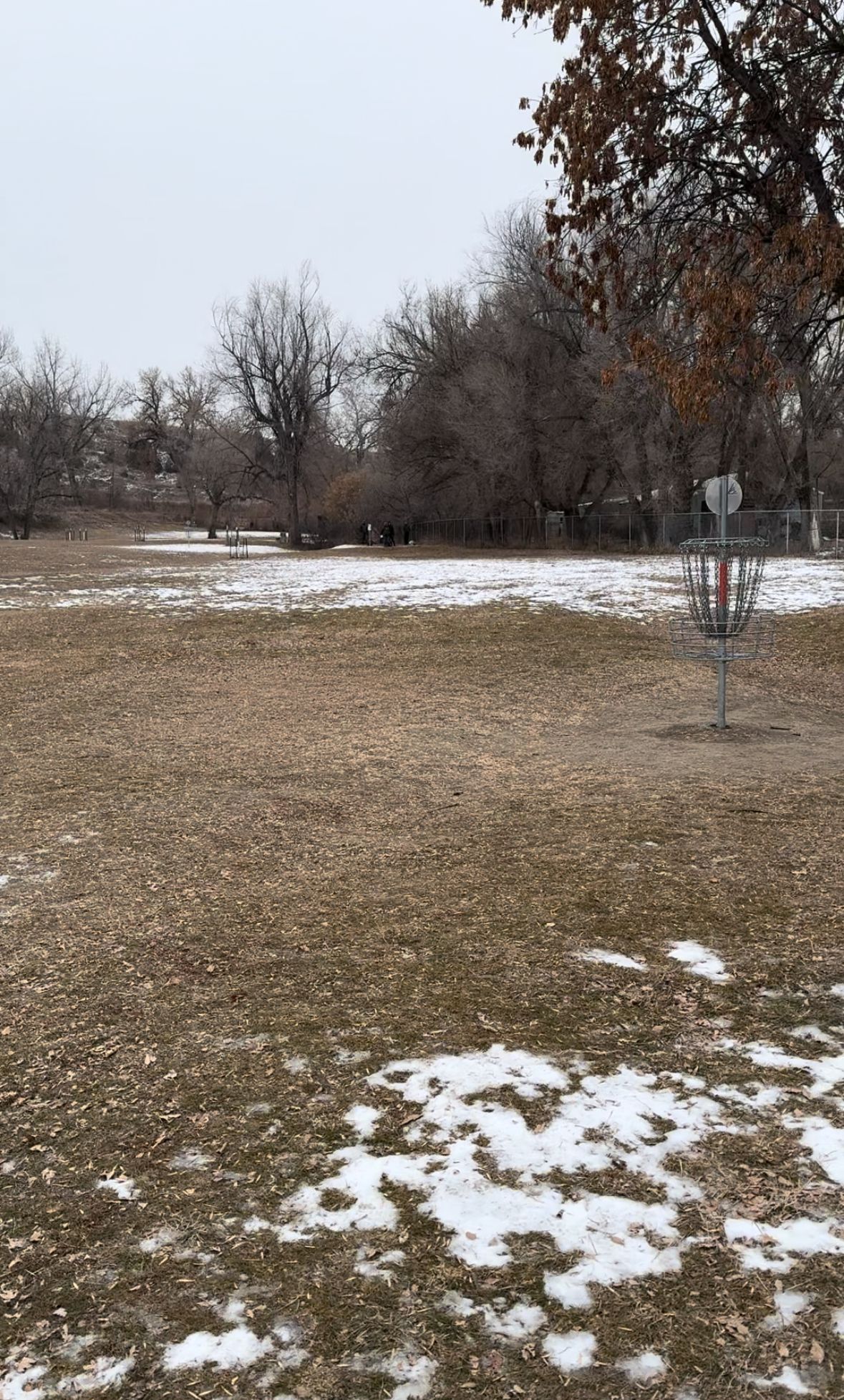 Hole 9 - Basket -> Tee