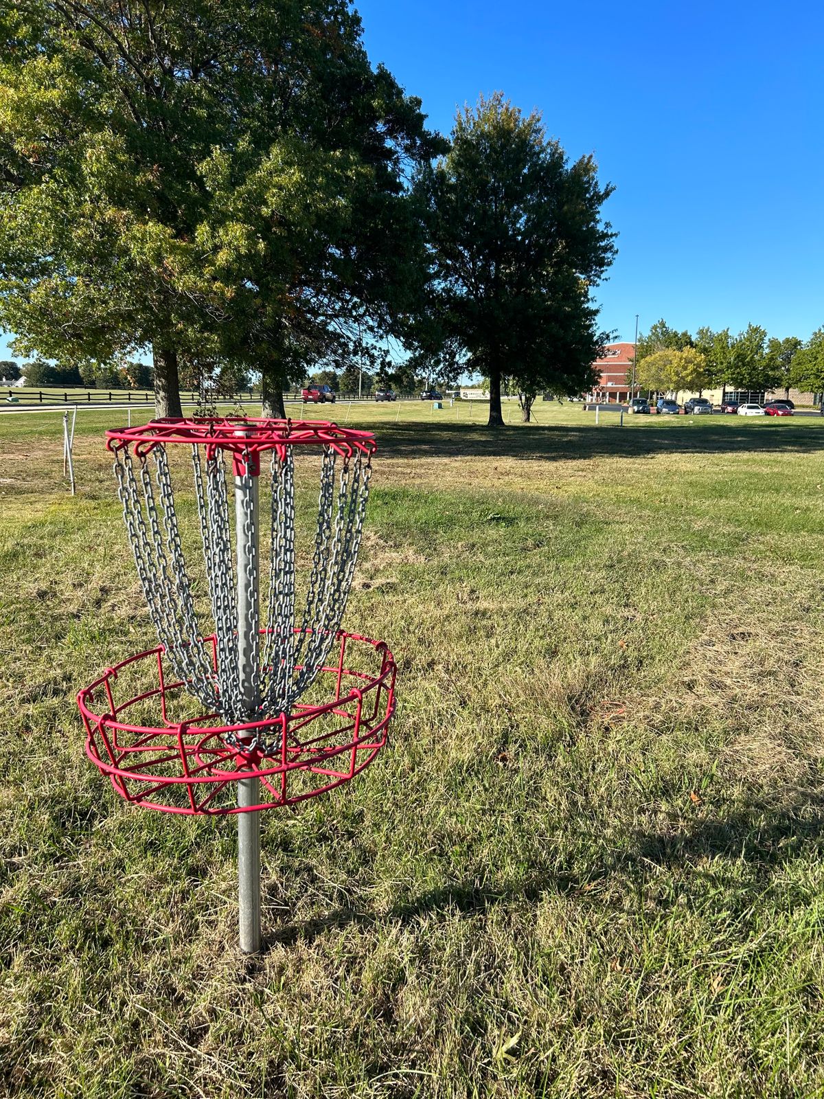 Hole #4 from the basket
