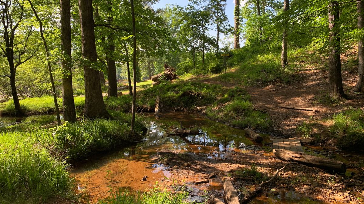 Hole 12