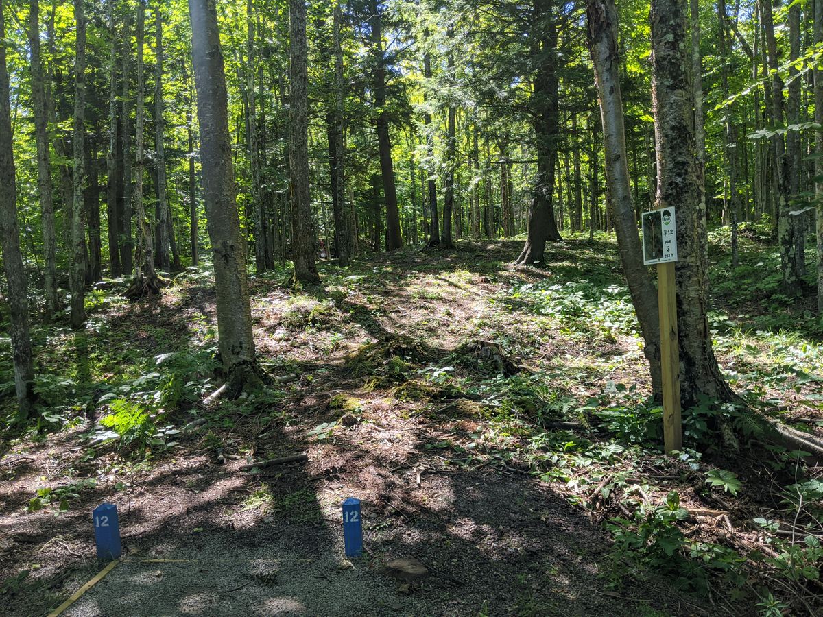 Hole 12