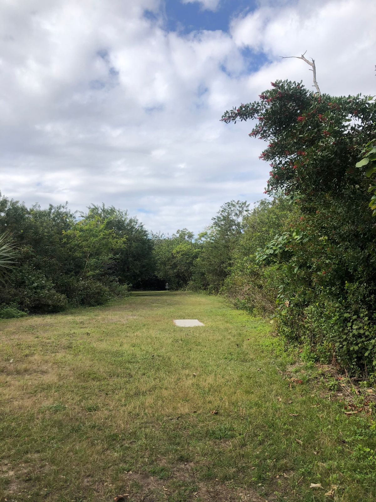 Hole 14