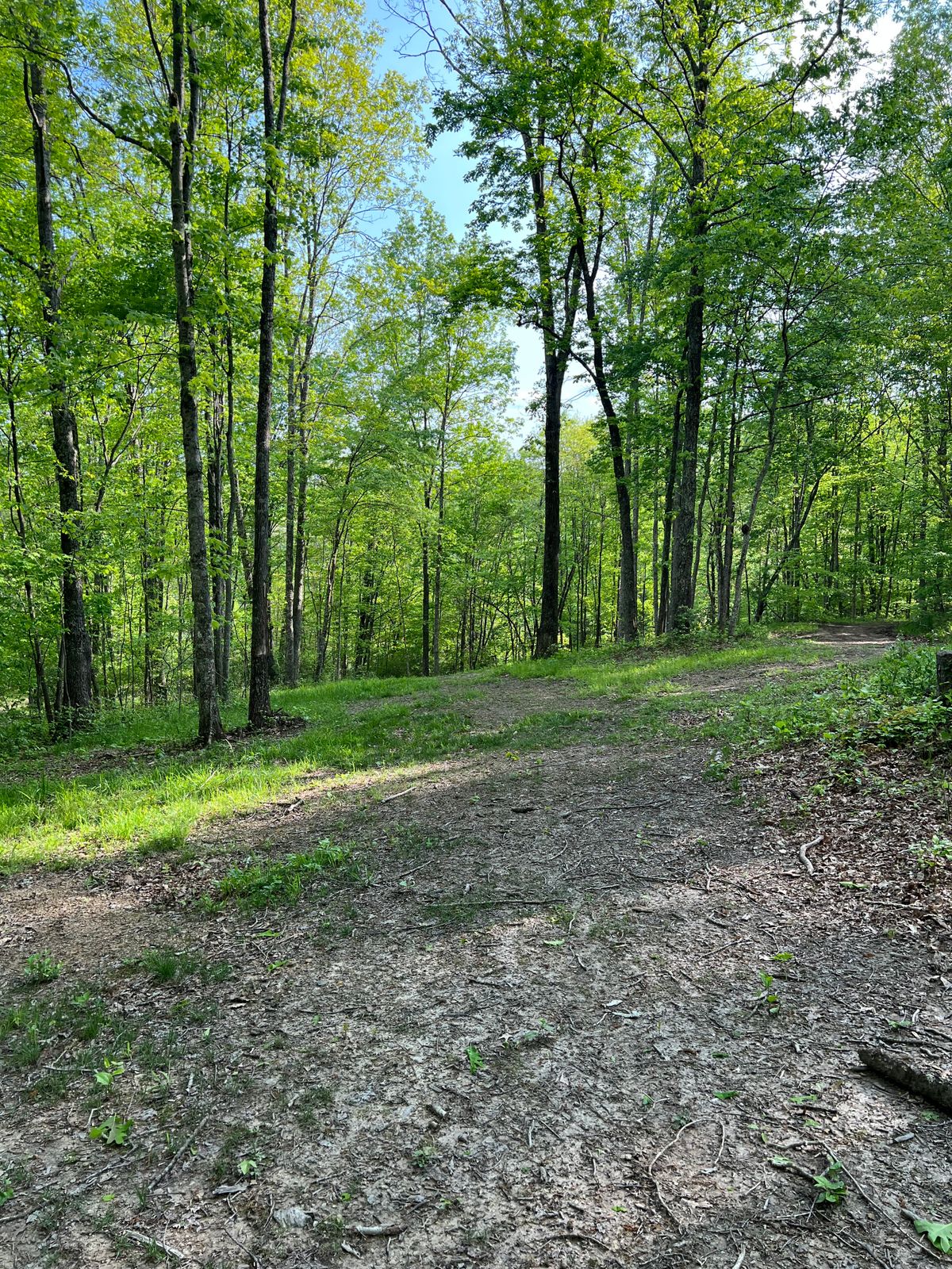 Hole 7 Mid-Fairway