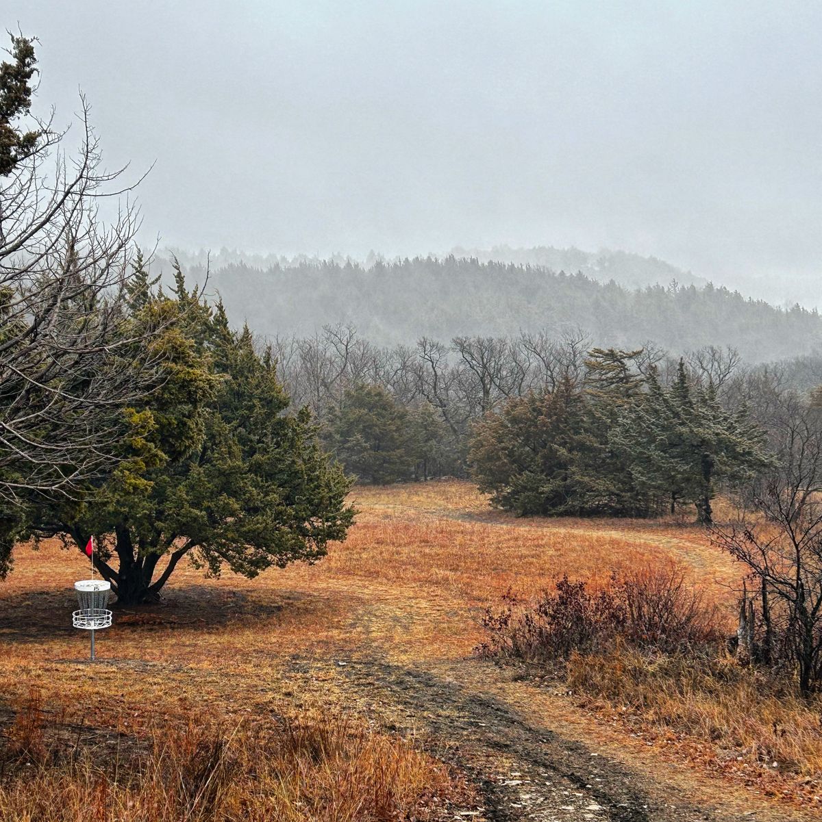 Love the foggy rolling hills