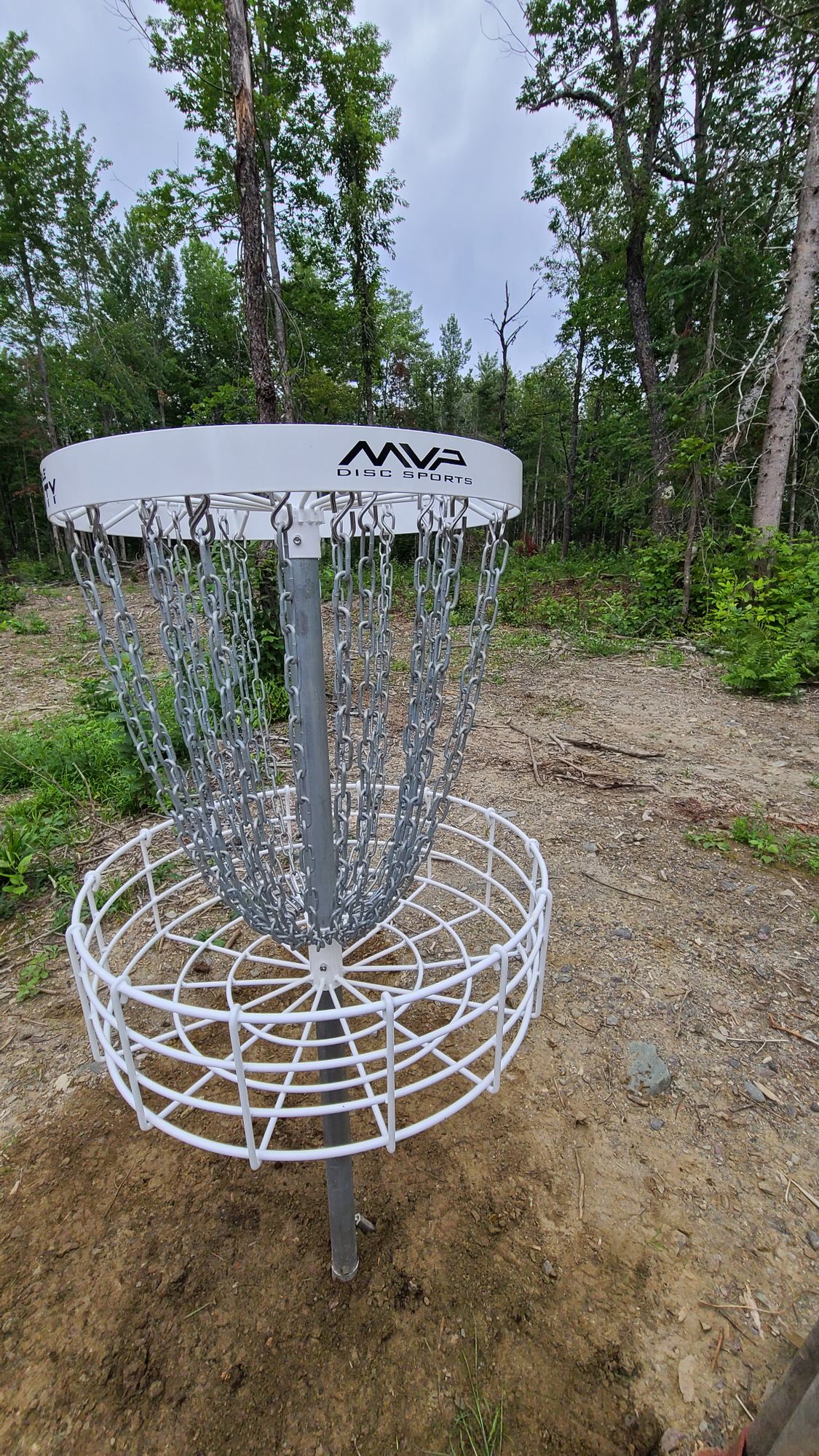 Hole 6 Basket