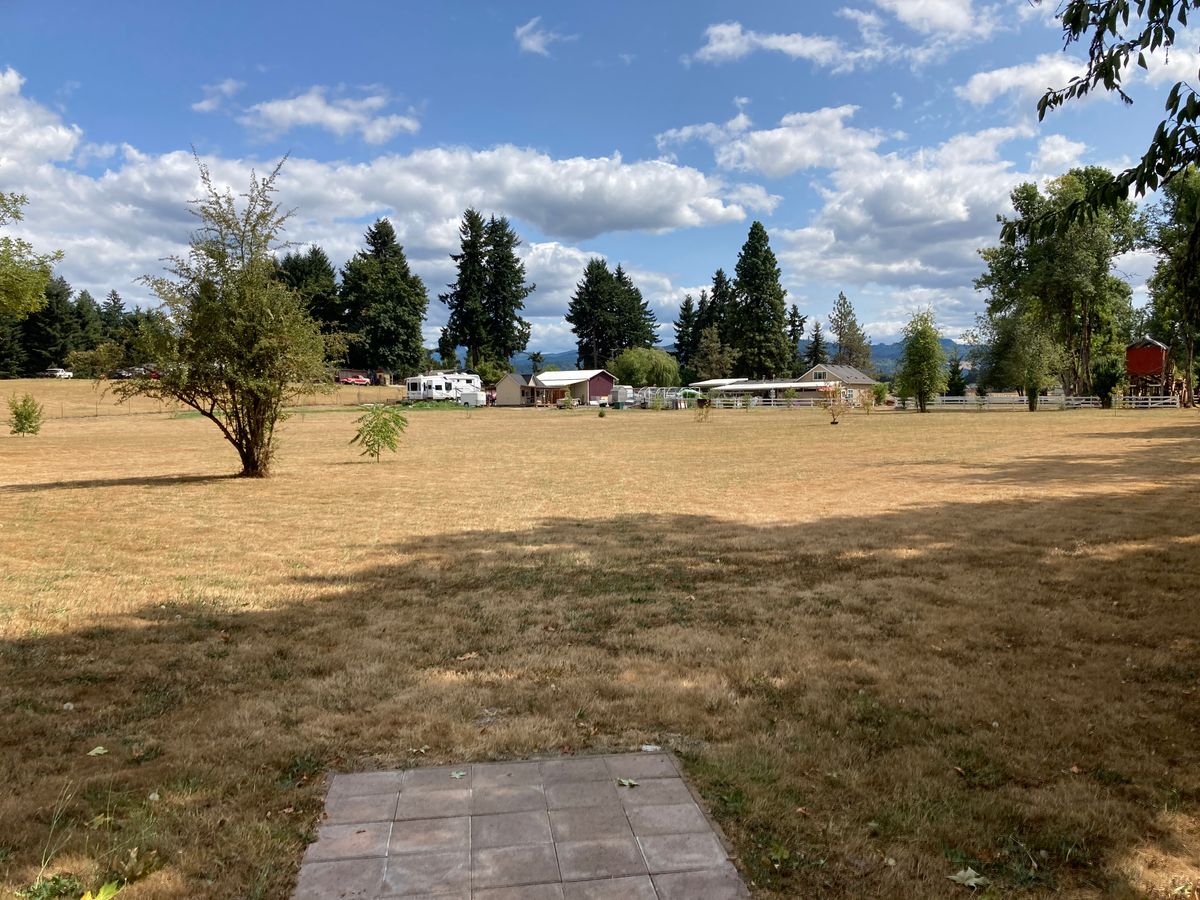 Tee 14.  Landing in trailer adds penalty stroke