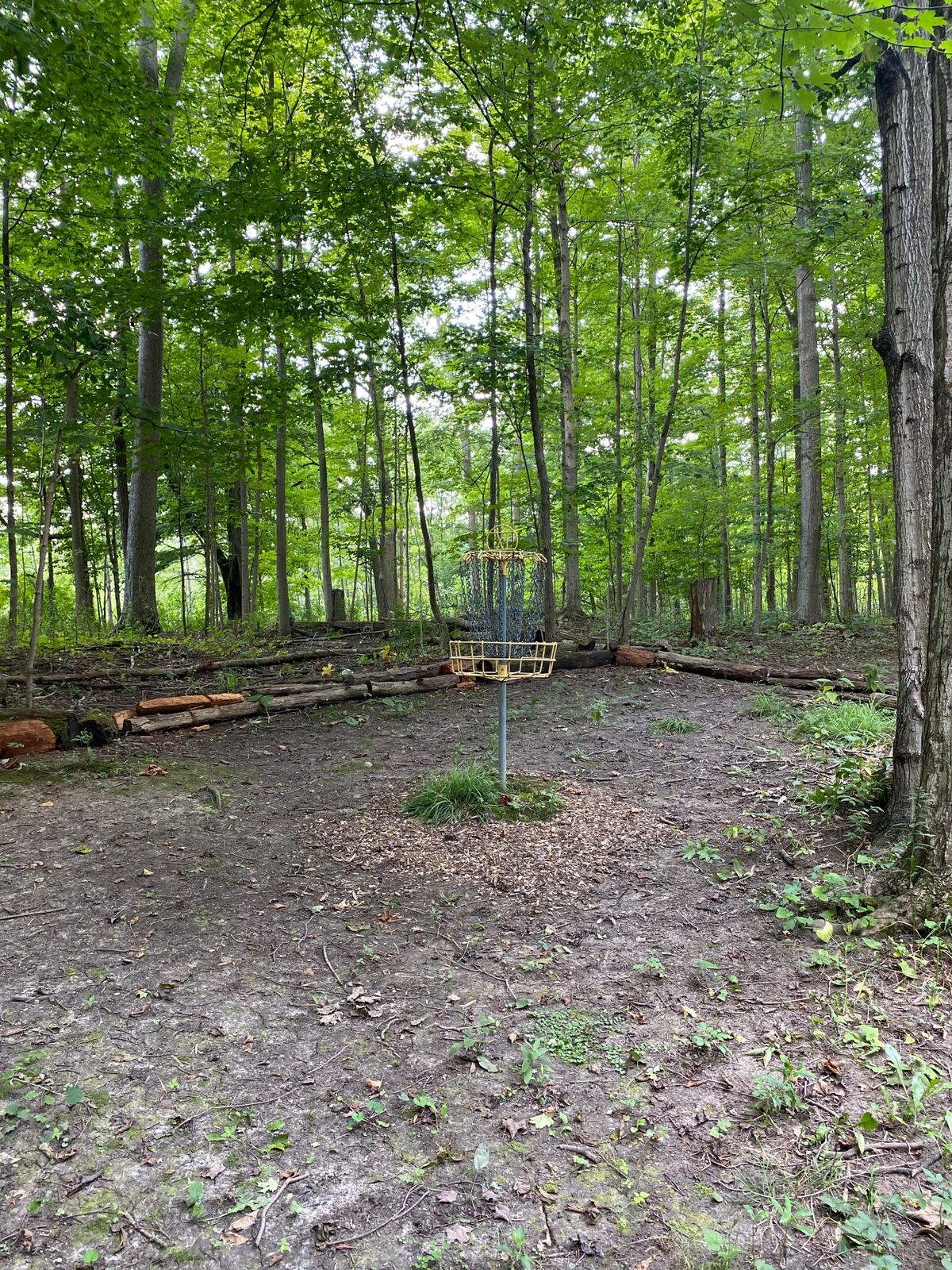 Hole 11