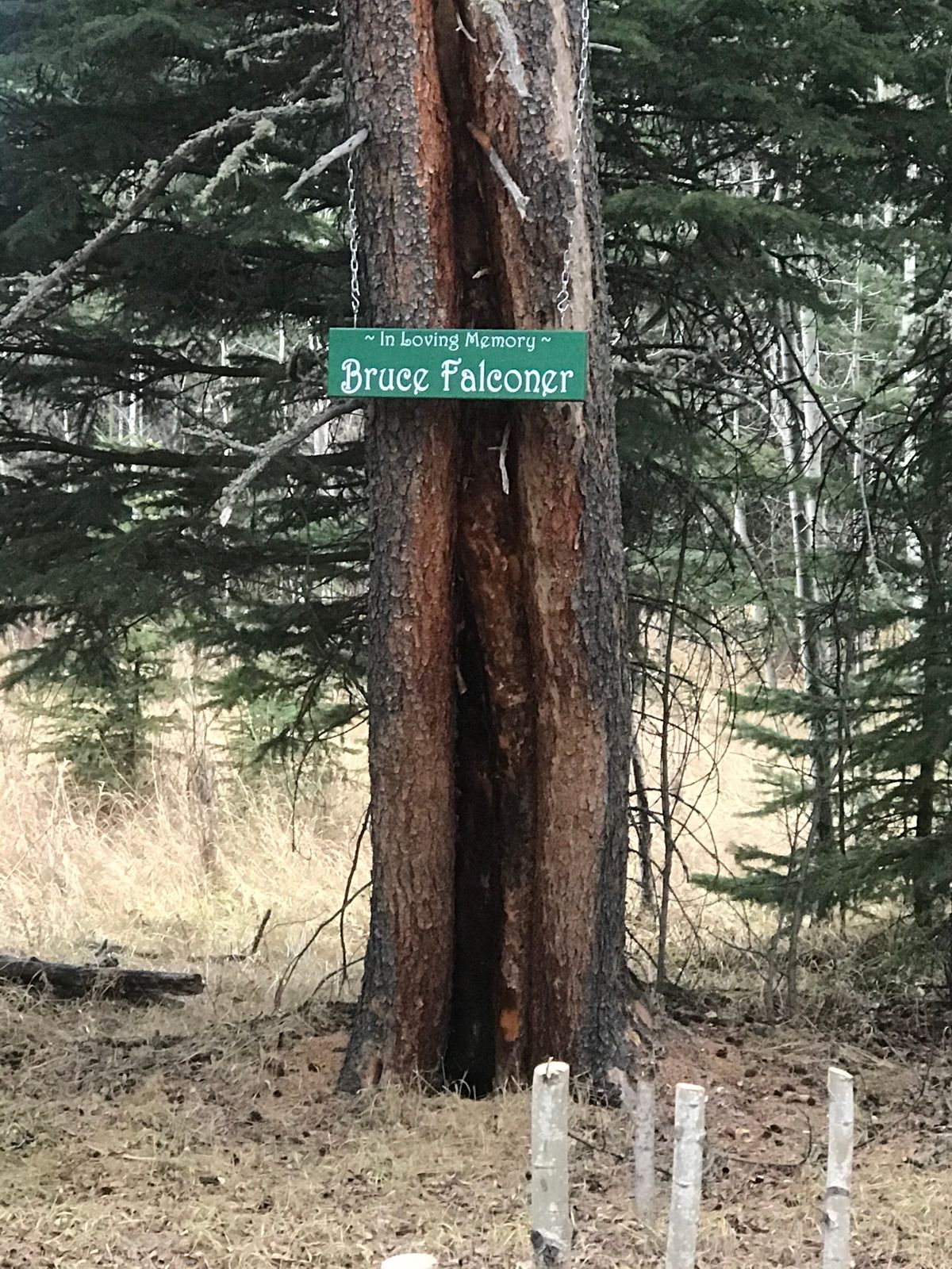 Hole 8 memorial for Bruce Falconer