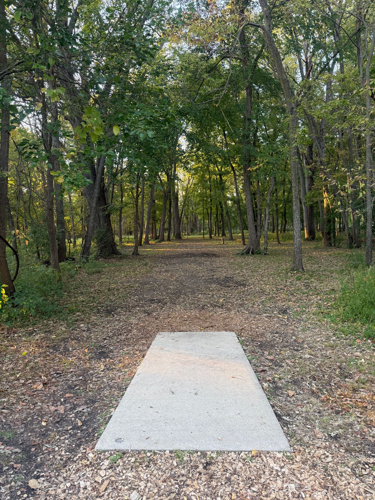 Hole 7 tee 10/7/25