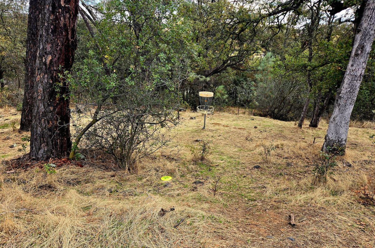 Hole 1 long position.