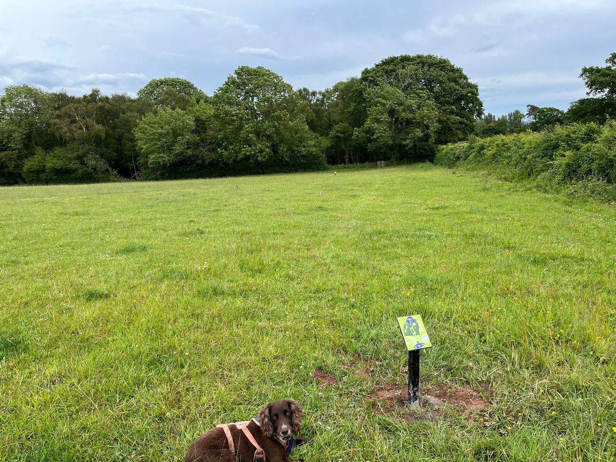 Hole 7 Blue tee
