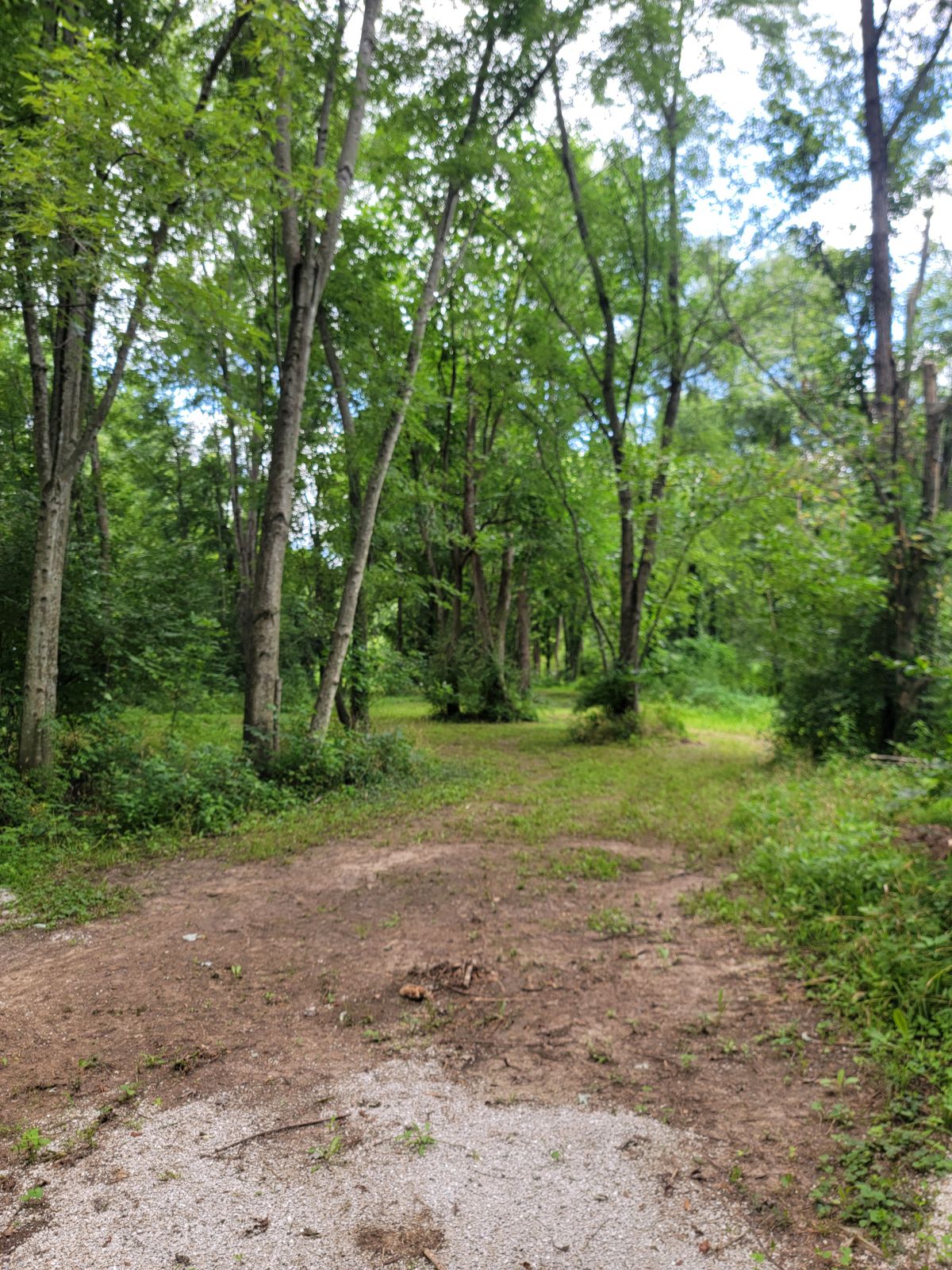 Hole 3