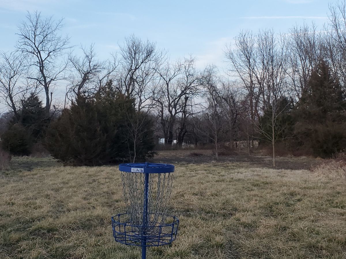 Hole 6 basket looking back at the landing zone